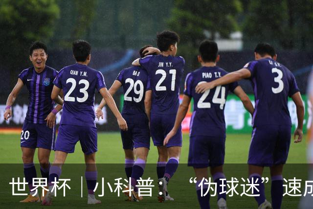 世界杯｜小科普：“伪球迷”速成手册